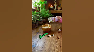 افضل فطور صحي 