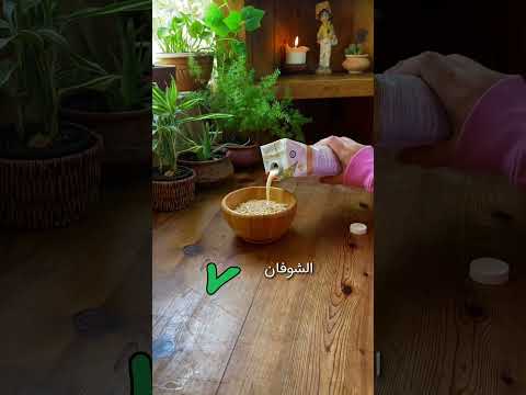 افضل فطور صحي