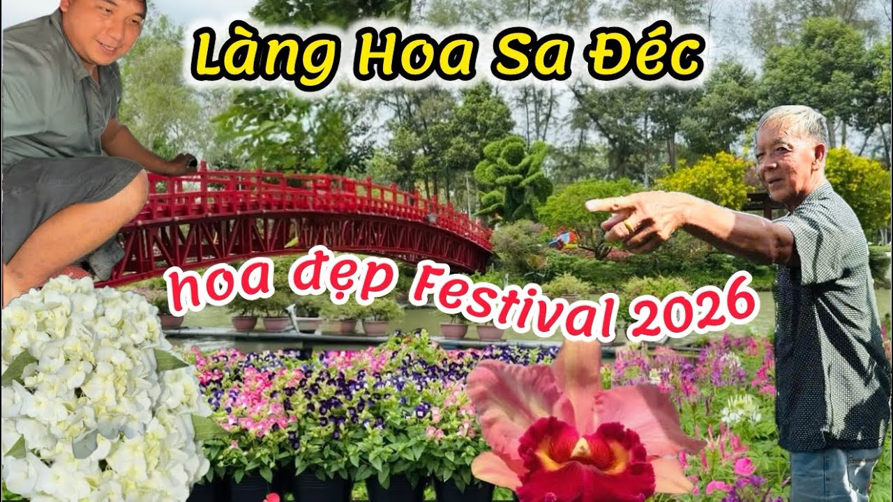 Làng Hoa Sa Đéc Festival 2026,rực rỡ nhiều loại hoa từ bình dân đến “thượng lưu”|TrNQ