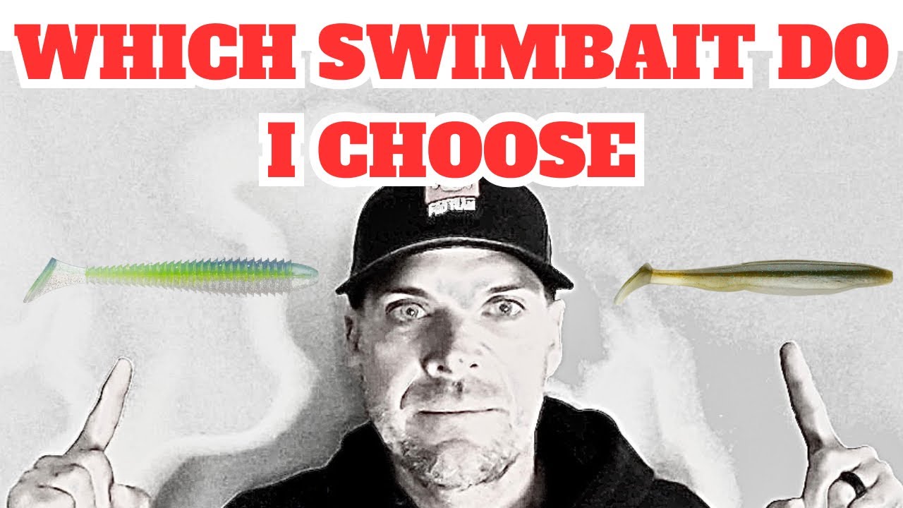 WHICH SWIMBAIT DO I CHOOSE?