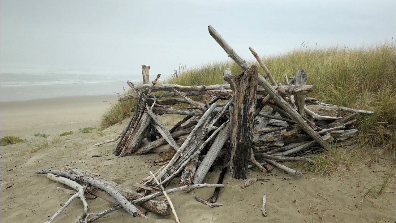 Bayshore Dunes December 2024