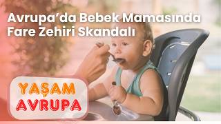 Avrupa'da Bebek Mamasında Fare Zehri Skandalı