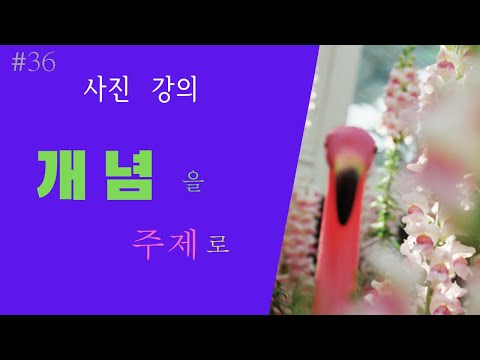 "개념"을 주제로한 -  &rsquo;콜린 플럼 &rsquo;의 사진작품