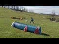 Luke- Novice weavers Run 1, Wild