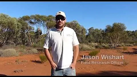 Choosing feral pig baiting sites: Part 1 Introduction