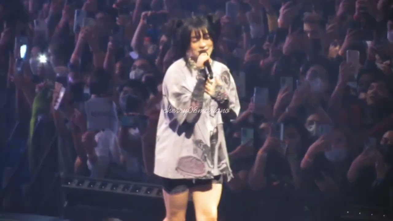 bossa nova billie eilish bossa nova billie eilish