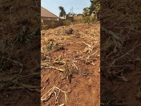 land for sale in Rwanda Kigali at kikukiro ghahanga 32 million RWF contact 0798287120