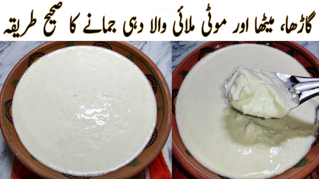 Dahi Jamane Ka Tarika Dahi Banane Ka Tarika Sehri Special Recipe