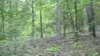 Devils Den top roadgap