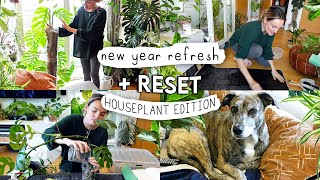 2+ HOURS(!!) of Resetting My Houseplant Collection  A Much Needed Reset + Plant Chores 2024