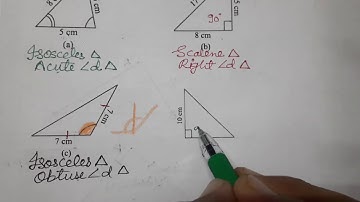 Q.3,EXERCISE 5.6,CLASS VI , MATHEMATICS,  CHAPTER 5, Understanding Elementary Shapes
