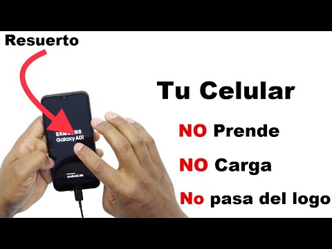 Mi celular llega