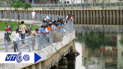 Dẹp nạn tận diệt cá trên kênh Nhiêu Lộc | VTC