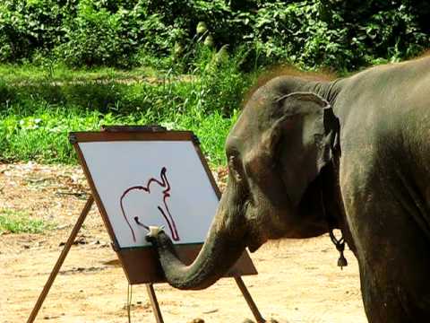 Suda - The Painting Elephant