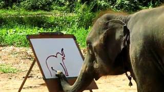 Suda  The Painting Elephant