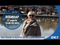 Обучение на английском в Business College Helsinki