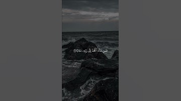 ماتيسر من سورة النبأ | #عمر_الدريويز