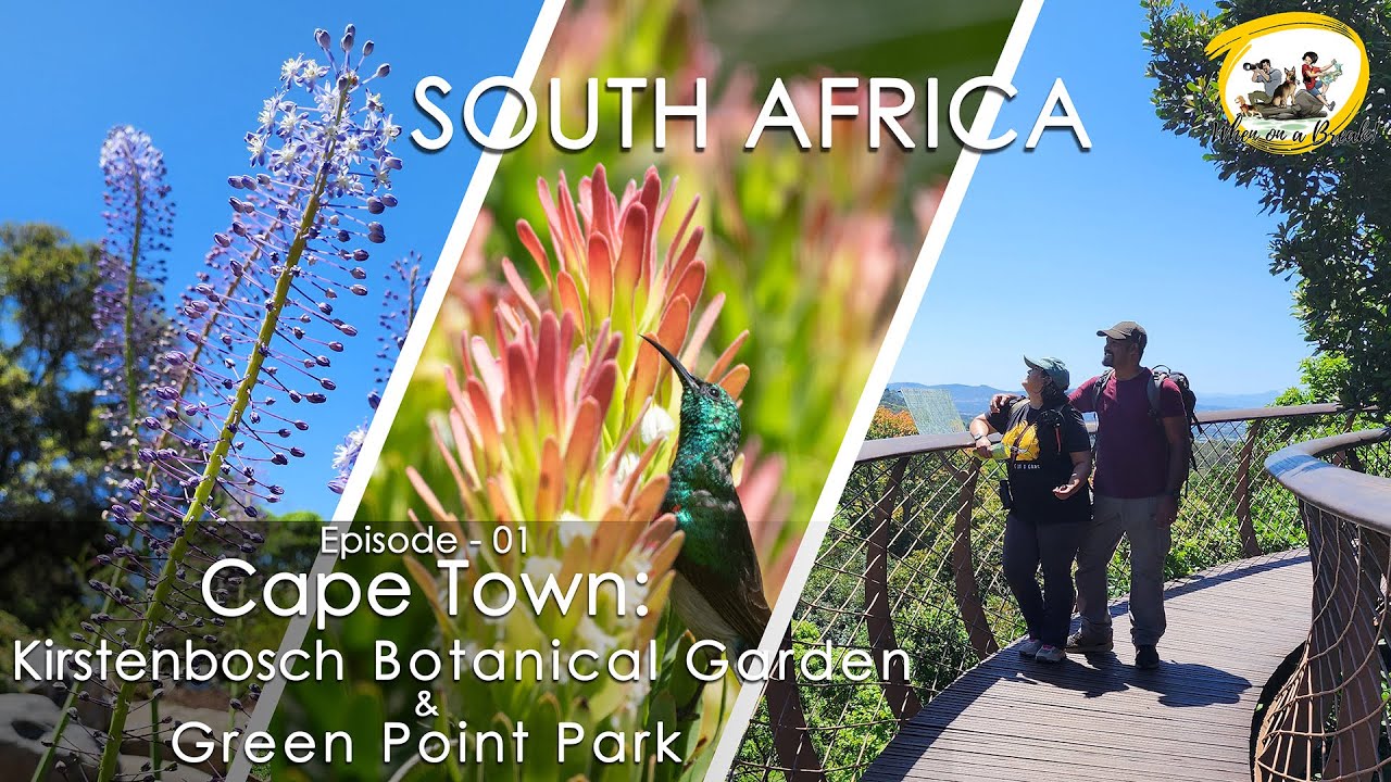 South Africa | Episode - 01| Cape Town | Kirstenbosch Botanical garden | Green Point Park