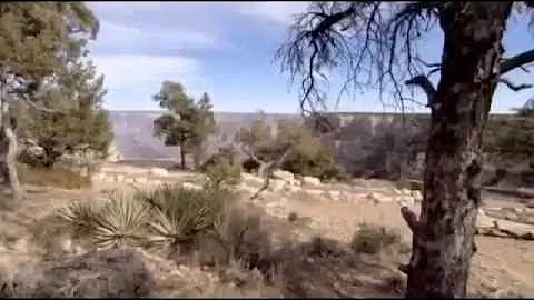 Planet Earth 100 Million Years In The Future - Wha...