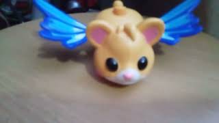 Hi Hamster.