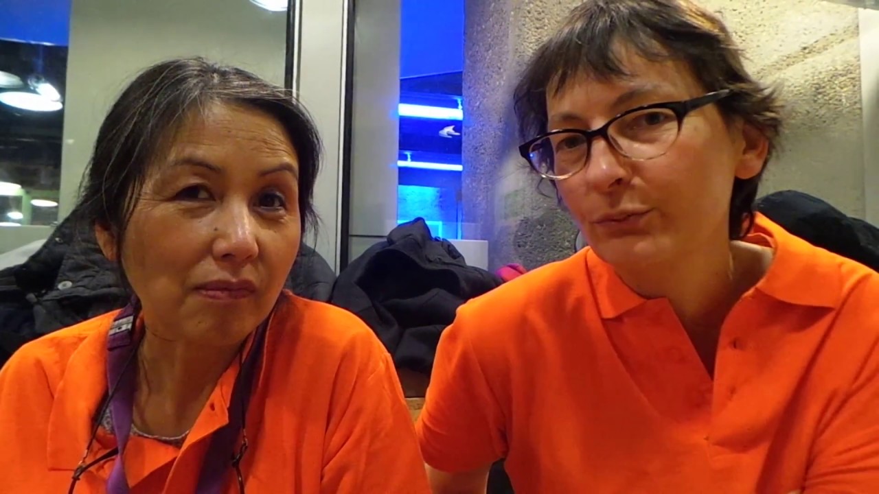 Ubuntu Party, c'est quoi ?