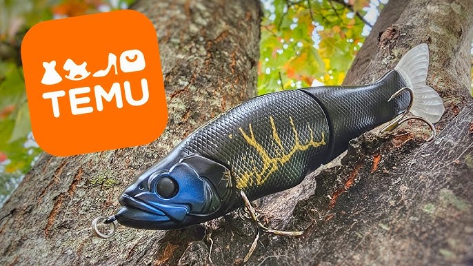 Fishing Lures From TEMU? Realistic Fishing Lure Review (Not