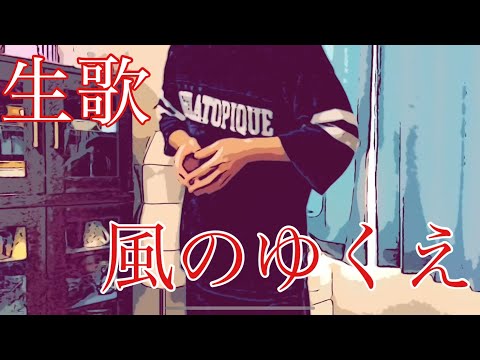 【男性キー】風のゆくえ／Ado covered by Bee（キー：−5）ピアノ伴奏