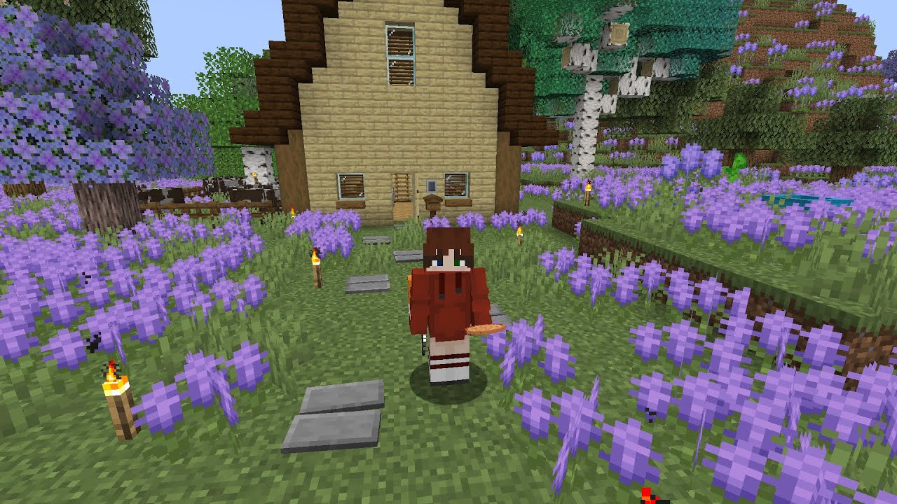 Home decor!! Starfall SMP #1 - YouTube