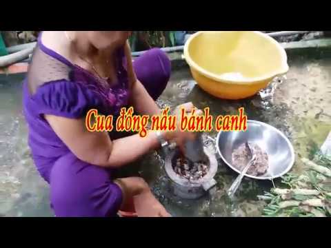 Hướng dẫn Cách nấu bánh canh cua – Cua đồng nấu bánh canh – Bánh canh cua – Món ăn dân dã đồng quê Miền Tây – Khắc Trường Channel