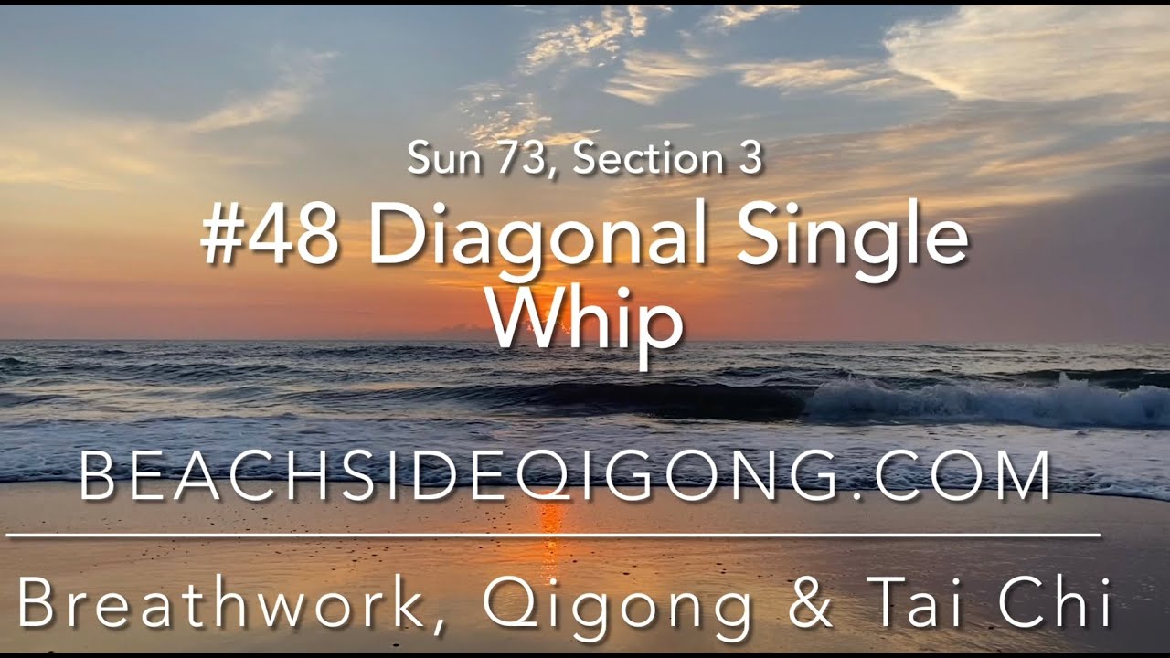 Sun 73 Tai Chi Course, Section 3, move #48 Diagonal Single Whip