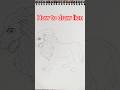 how to draw lion/Sher Ka Chitra Kaise banta hai #AmrendraClasses #lion #art #drawing #pencilsketch
