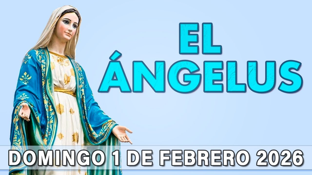 ÁNGELUS de HOY DOMINGO 1 de FEBRERO de 2026 | ORACIÓN de MEDIODÍA - YouTube