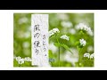 【風の便り/さとう。】