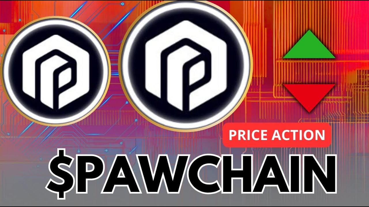 PAW CHAIN | SUDAH DI BAWAH ?| APA YANG TERJADI !Replay 08/10/2025
