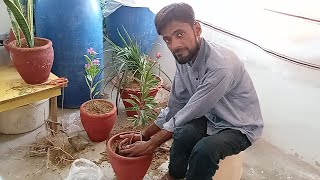 Save our earth.|| Ghar me New plants lgay🌿🌿|| Routine vlog||Daily vlogs@ourdailylife611