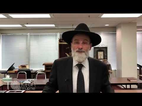 Rabbi Dovid Hofstedter- Shavuot Part 3