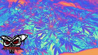 OFF THE CUFF: Growing up next to 3 medical CANNABIS clubs & ROUGH thoughts on CA Legalization