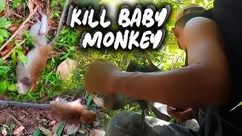 TEMBAK BAYI KERA SAAT DURIAN BERBUNGA‼️ berburu kera // monkey hunting // kill baby monkey