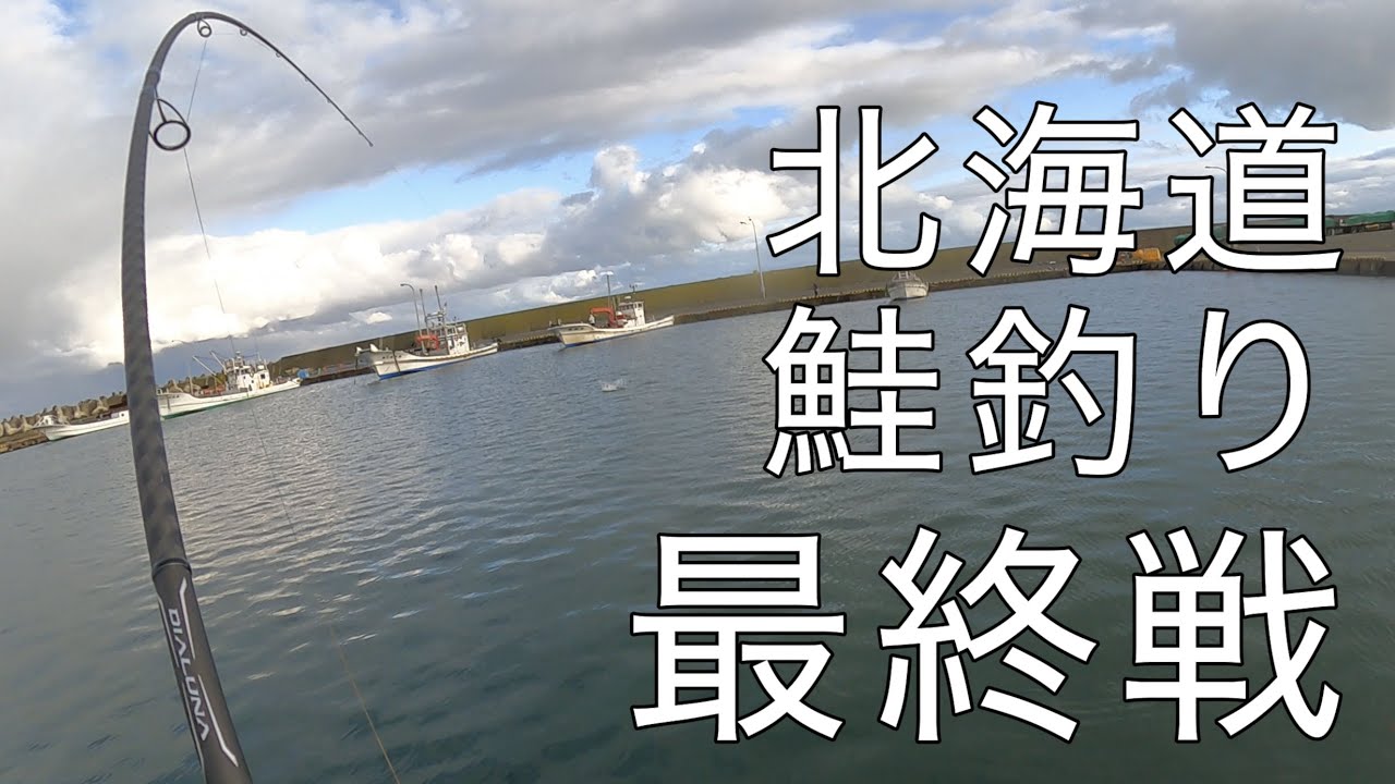 専用駐車場付き漁港で鮭釣り最終戦