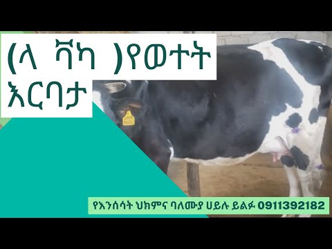 ቪዲዮ: በኮባልት ውስጥ ስንት ኤሌክትሮኖች አሉ?