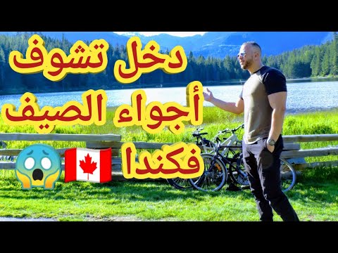 فيديو: كيف يعيش الكنديون