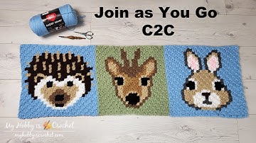 JAYG C2C Forest Animals Blanket CAL, part 3: How to Join as you Go the 3rd animal block,  Hedgehog