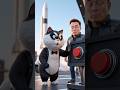 Elon Musk &amp; Monty Cat | Grumpy Story 😹😹😹 #montycat #cat #funny #grumpycat #cute #