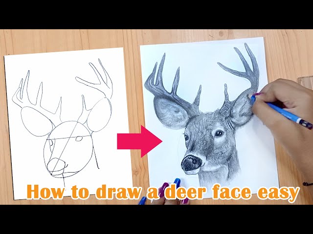 Cute deer face drawing with christmas theme vector illustration for kids,  print, fashion artwork, wallpapers. #Ad , #spon… | Deer drawing, Reindeer  drawing, Artwork