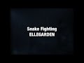 Snake Fighting ELLEGARDEN 和訳
