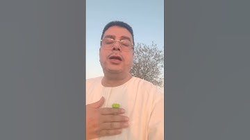 آخر 4 آيات من سورة الحشر كنز من كنوز القرآن الكريم