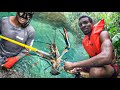 Epic crayfish catch and cook