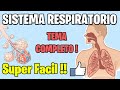 Anatomía y Fisiología del SISTEMA RESPIRATORIO COMPLETO MEJOR EXPLICADO