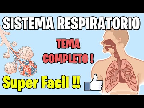 Anatomía y Fisiología