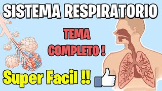Anatomy and Physiology of the COMPLETE RESPIRATORY SYSTEM BETTER EXPLAINED